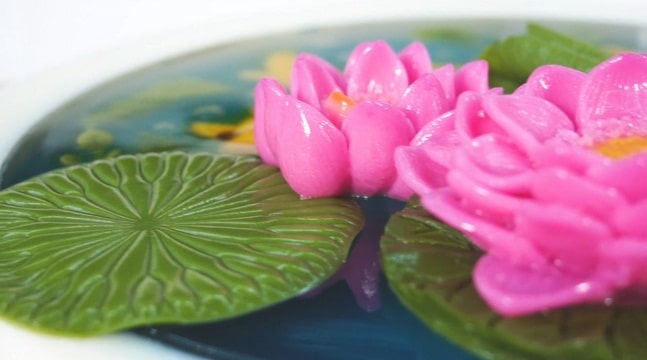 Hồ cá hoa sen với thạch rau câu 3D kết hợp hoa nổi