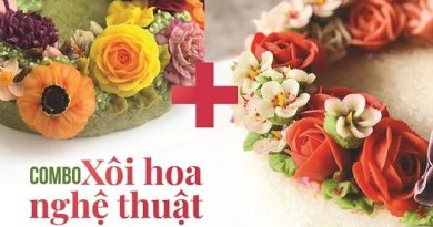 Combo xôi hoa nghệ thuật Xôi hoa đậu Hàn Quốc + Xôi hoa đậu cán-2